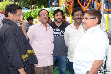 Vinavayya Ramayya Movie Launch